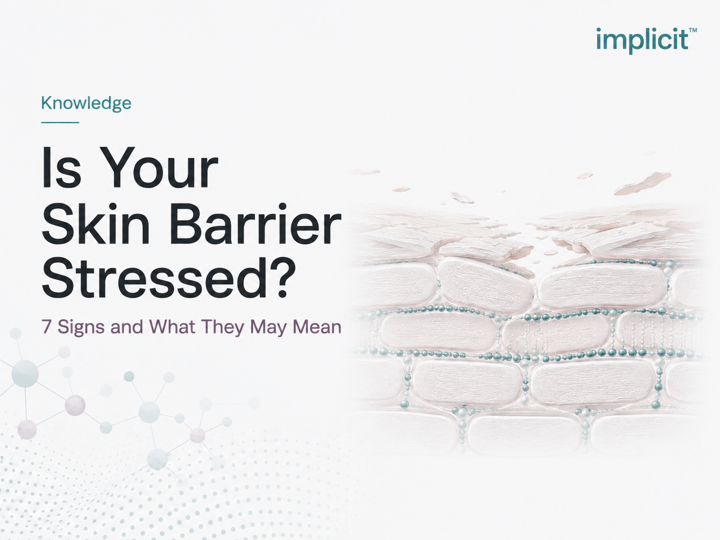 Illustration of a stressed skin barrier with disrupted surface layers, representing common signs such as tightness, dryness and increased sensitivity.