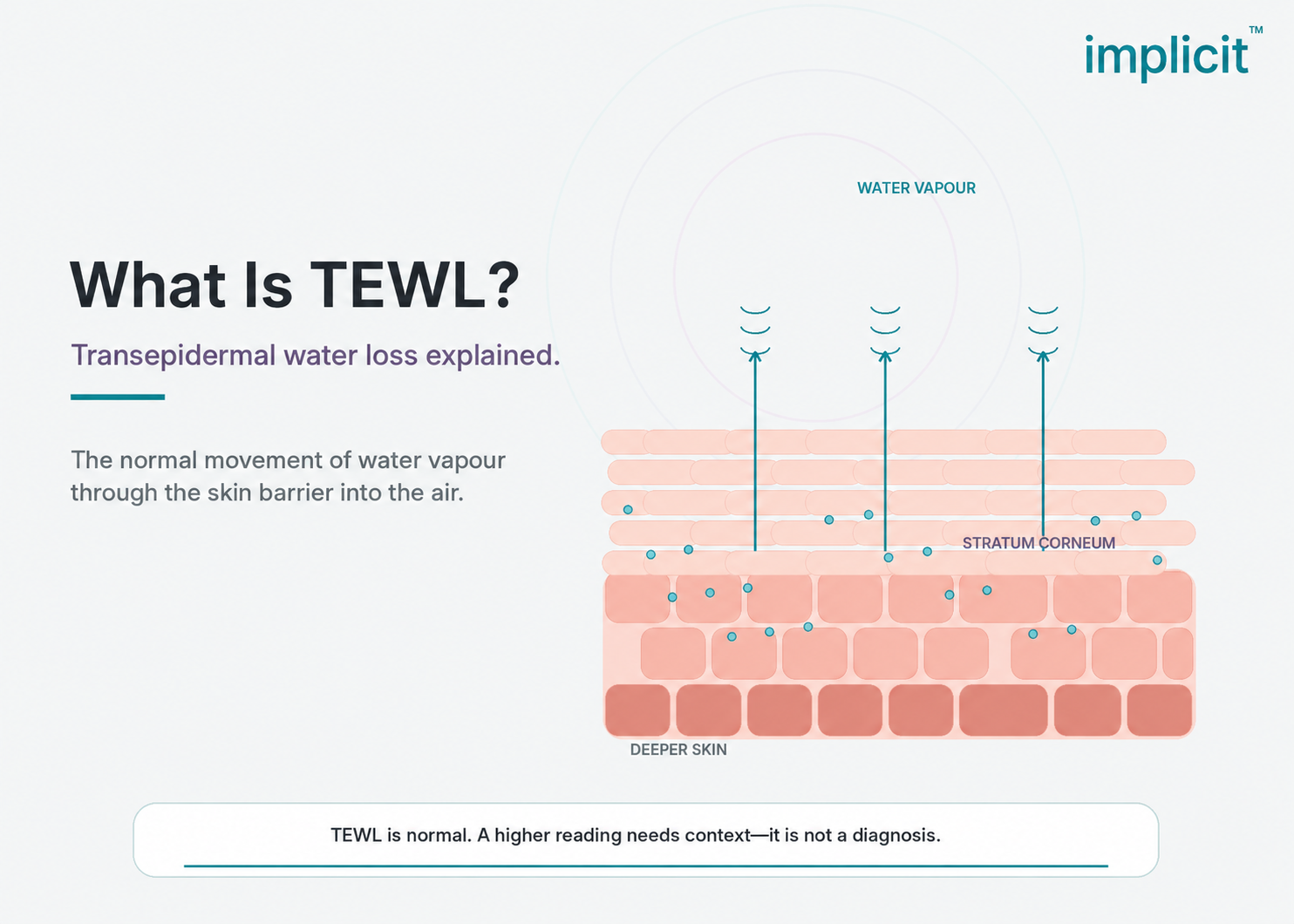 What Is Transepidermal Water Loss (TEWL)—and Why Does It Matter?
