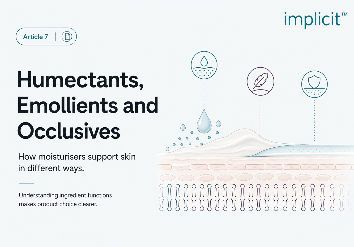 Humectants, Emollients and Occlusives: How Moisturizers Work