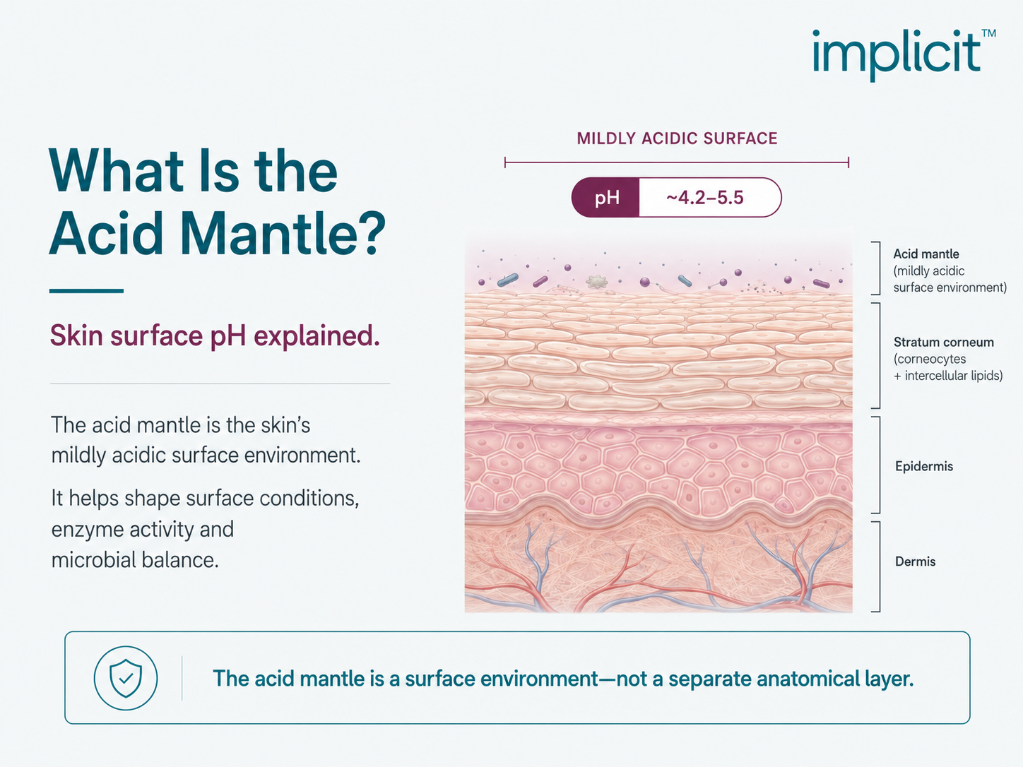 What Is the Acid Mantle—and What Does Skin pH Actually Mean?